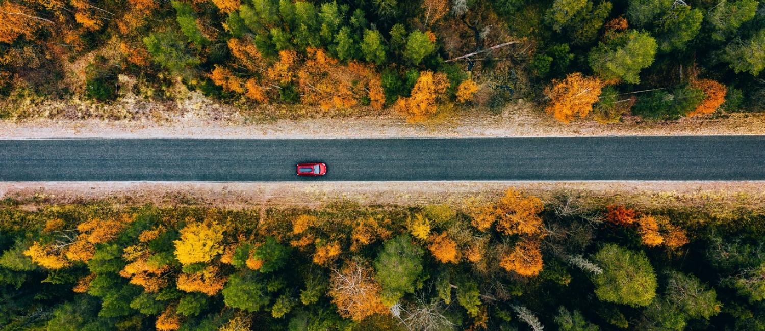 Herbstliche_Strasse_2_50