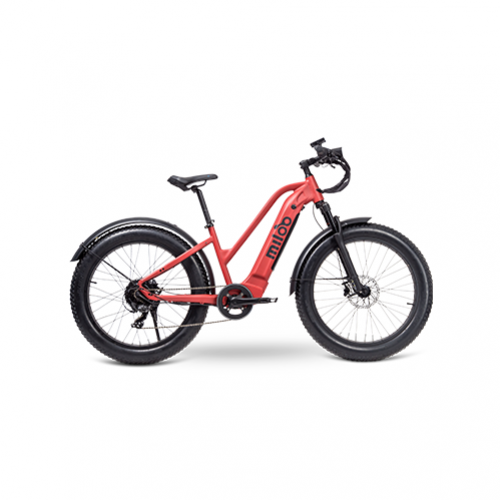 E-Bike Miloo Classy Beast