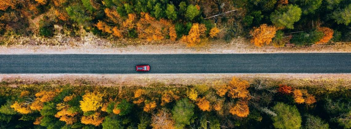 Herbstliche Strasse mit Auto